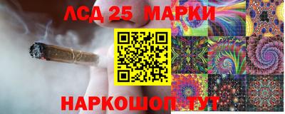 гидропоника Нальчик