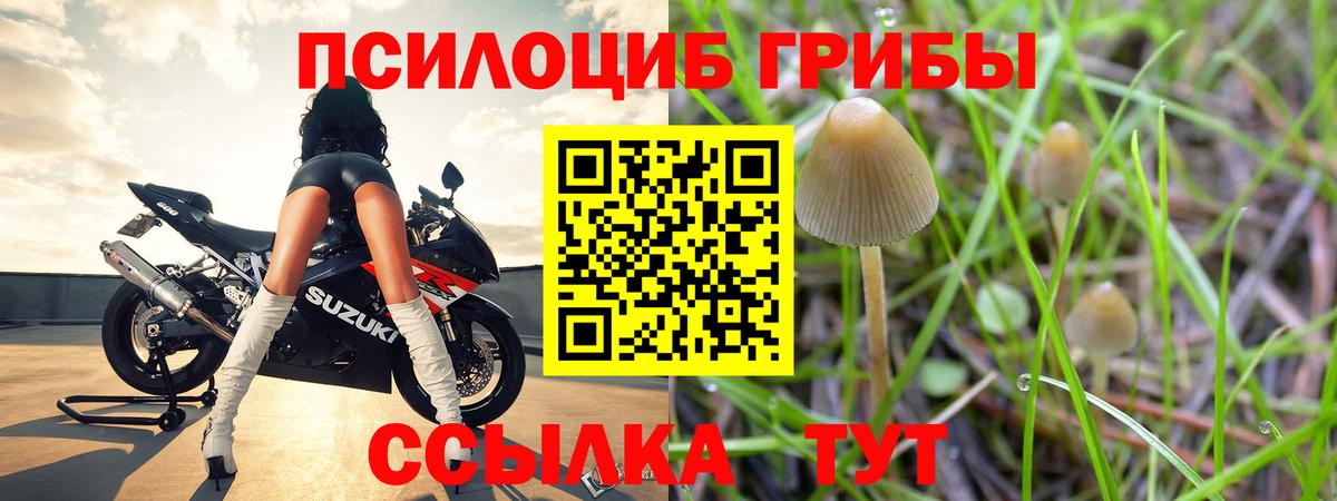 Псилоцибиновые грибы Cubensis Ярцево